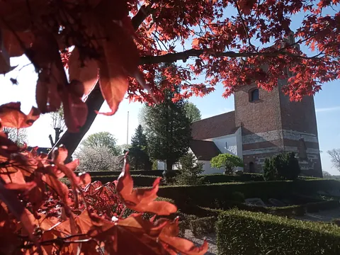 Biodiversitet på kirkegårdene
